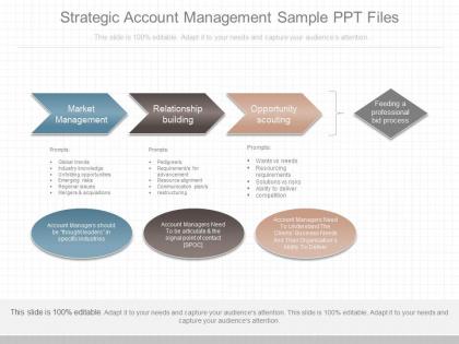 Innovative strategic account management sample ppt files
