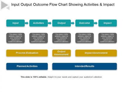 Input output outcome flow chart showing activities and impact