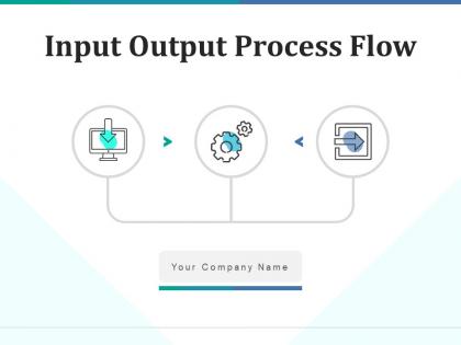 Input Output Process Flow Business Services Product Horizontal Management Transformation