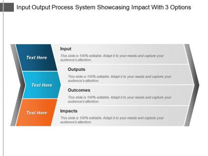 Input output process system showcasing impact with 3 options