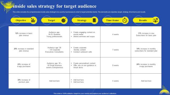 Inside Sales Strategy For Target Audience