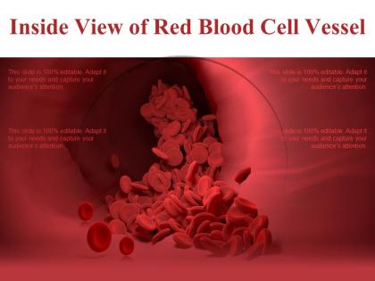 Inside view of red blood cell vessel