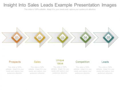Insight into sales leads example presentation images