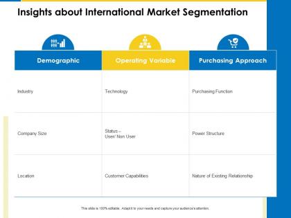 Insights about international market segmentation business manual ppt ideas