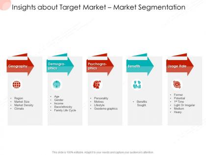 Insights about target market market segmentation business procedure manual ppt slides example