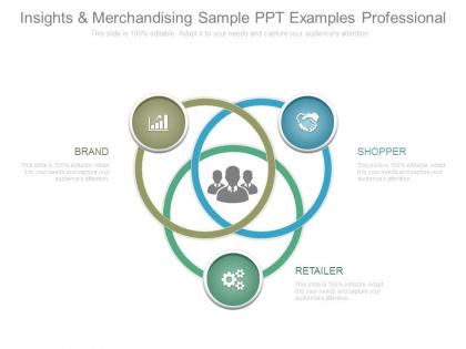 Insights and merchandising sample ppt examples professional
