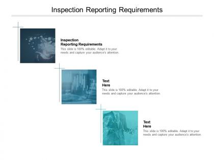Inspection reporting requirements ppt powerpoint presentation images cpb