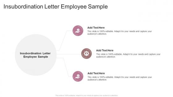 Insubordination Letter Employee Sample In Powerpoint And Google Slides Cpb