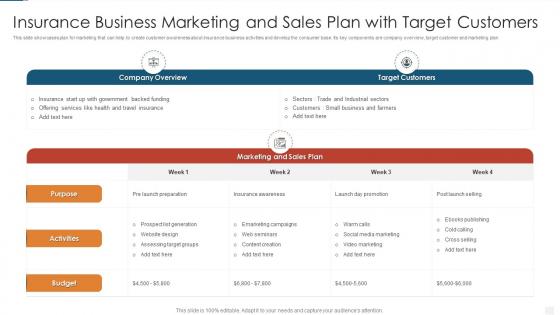 Insurance business marketing and sales plan with target customers