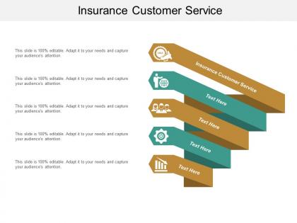 Insurance customer service ppt powerpoint presentation file visuals cpb