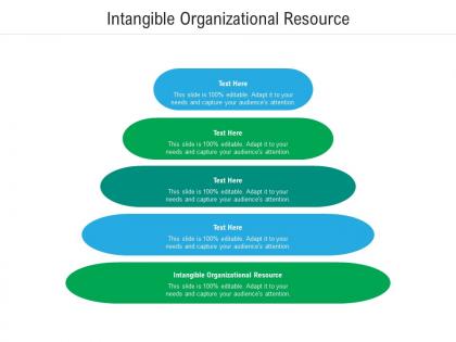 Intangible organizational resource ppt powerpoint presentation pictures graphics download cpb