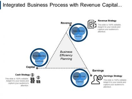 Integrated business process with revenue capital and earnings