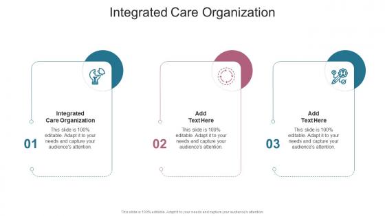 Integrated Care Organization In Powerpoint And Google Slides Cpb