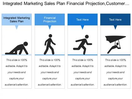 Integrated marketing sales plan financial projection customer analysis