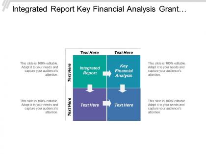 Integrated report key financial analysis grant funding system implementation