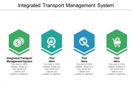 Integrated transport management system ppt powerpoint presentation icon sample cpb