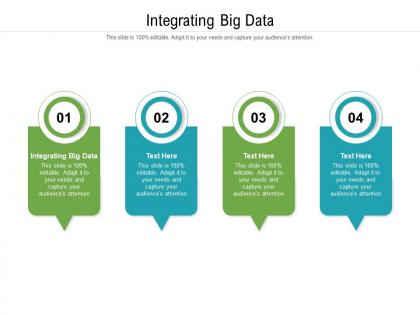 Integrating big data ppt powerpoint presentation inspiration gallery cpb