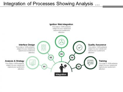 Integration of processes showing analysis interface design quality assurance training