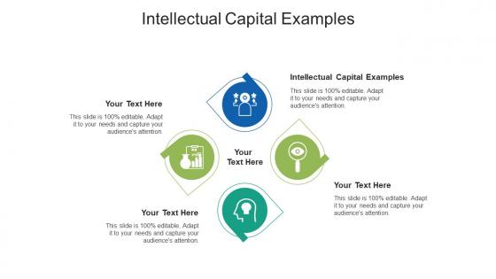 Intellectual capital examples ppt powerpoint presentation professional summary cpb
