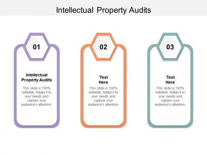 Intellectual property audits ppt powerpoint presentation professional designs download cpb