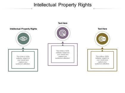 Intellectual property rights ppt powerpoint presentation file graphics cpb