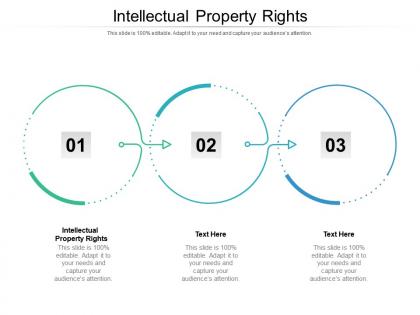 Intellectual property rights ppt powerpoint presentation infographics example introduction cpb