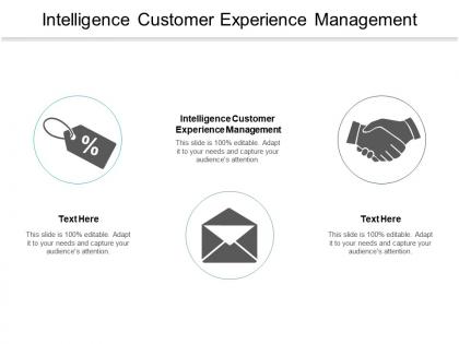 Intelligence customer experience management ppt powerpoint presentation model cpb