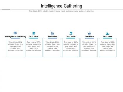 Intelligence gathering ppt powerpoint presentation professional example file cpb