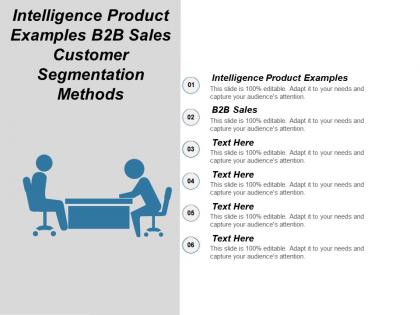 Intelligence product examples b2b sales customer segmentation methods cpb