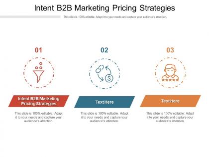 Intent b2b marketing pricing strategies ppt powerpoint presentation gallery slide cpb