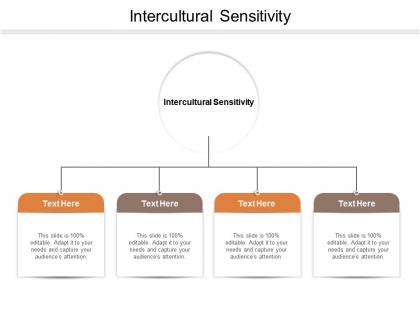 Intercultural sensitivity ppt powerpoint presentation show ideas cpb