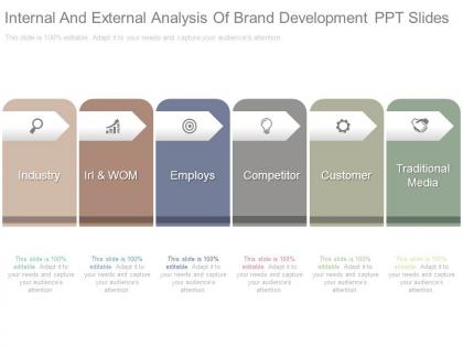 Internal and external analysis of brand development ppt slides