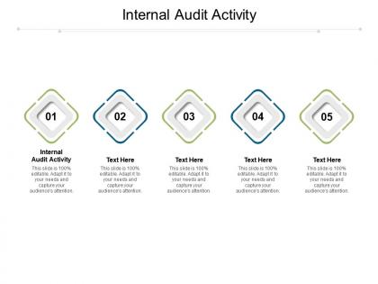 Internal audit activity ppt powerpoint presentation styles outfit cpb