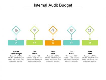 Internal audit budget ppt powerpoint presentation slides portrait cpb