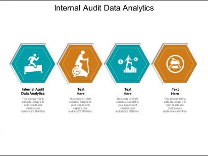Internal audit data analytics ppt powerpoint summary graphics cpb