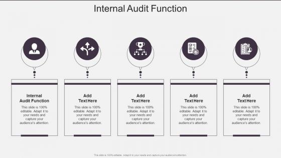 Internal Audit Function In Powerpoint And Google Slides Cpb