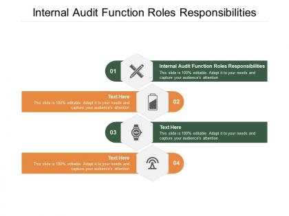 Internal audit function roles responsibilities ppt powerpoint presentation icons cpb