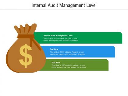 Internal audit management level ppt powerpoint presentation styles slide portrait cpb