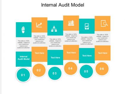 Internal audit model ppt powerpoint presentation professional deck cpb
