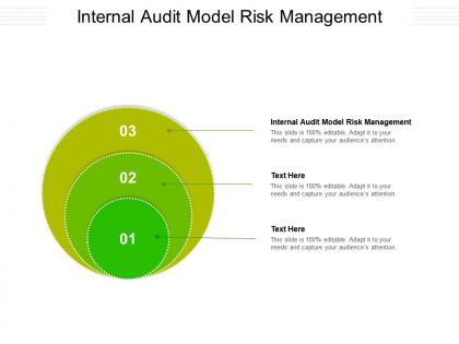 Internal audit model risk management ppt powerpoint presentation icon slide portrait cpb