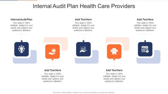 Internal Audit Plan Health Care Providers In Powerpoint And Google Slides Cpb