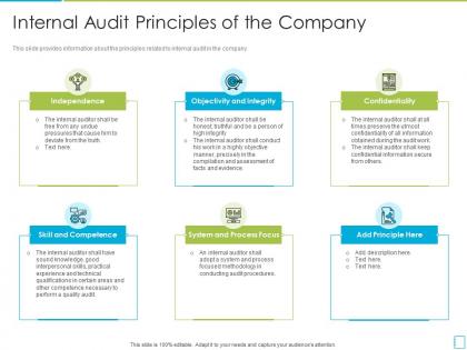 Internal audit principles of the company international standards in internal audit practices
