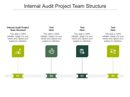 Internal audit project team structure ppt powerpoint presentation graphics cpb