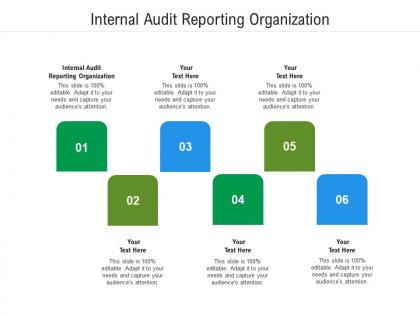 Internal audit reporting organization ppt powerpoint presentation inspiration show cpb