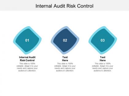 Internal audit risk control ppt powerpoint presentation styles slide download cpb