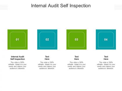 Internal audit self inspection ppt powerpoint presentation model rules cpb
