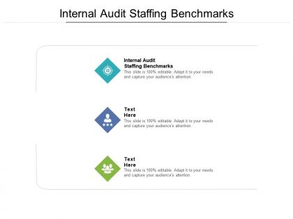 Internal audit staffing benchmarks ppt powerpoint presentation outline inspiration cpb