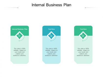 Internal business plan ppt powerpoint presentation gallery diagrams cpb