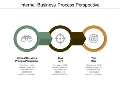 Internal business process perspective ppt powerpoint presentation infographic template outfit cpb