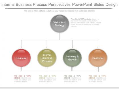 Internal business process perspectives powerpoint slides design